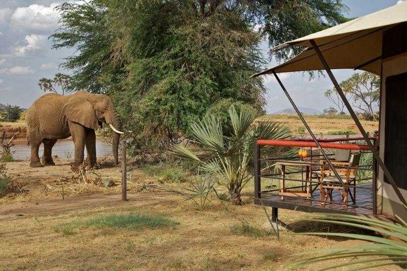 Ashnil Samburu Camp Ξενοδοχείο Εξωτερικό φωτογραφία